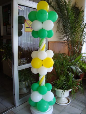 Oszlop 20 euro
