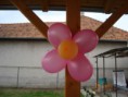 /album/fotogaleria-egyeb/dsc01646-jpg1/